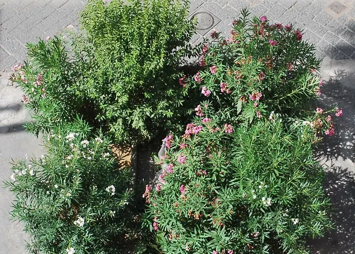 Syrentum Apartamento Península Sorrentina